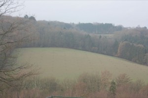 agroforesterie.be Anhée Noyers