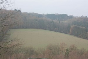 agroforesterie.be Anhée Noyers