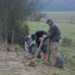 agroforesterie.be Rotheux haie